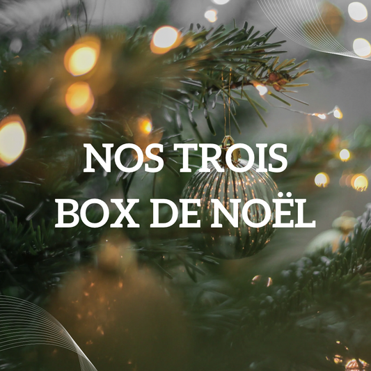 Box de Noël